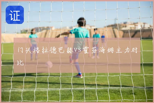 门兴格拉德巴赫vs霍芬海姆主力对比